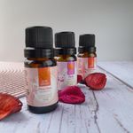 Essência Aromática Cedro 10ml Love Aromas Para Difusor Elétrico