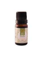Essência Aromática Bamboo 10ml Love Aromas Para Difusor Elétrico