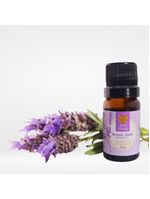 Essência Aromática Lavanda Inglesa 10ml Love Aromas Para Difusor Elétrico