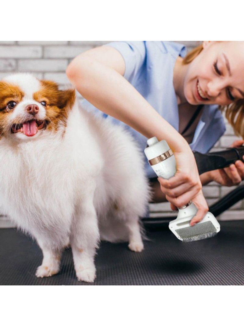 Escova Secadora De Pelos Para Animais – Massagem, Desembaraço E Secagem Rápida