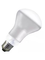 Lâmpada Para Spot R63 40 Watts 220 Volts - 8548 - Brasfort
