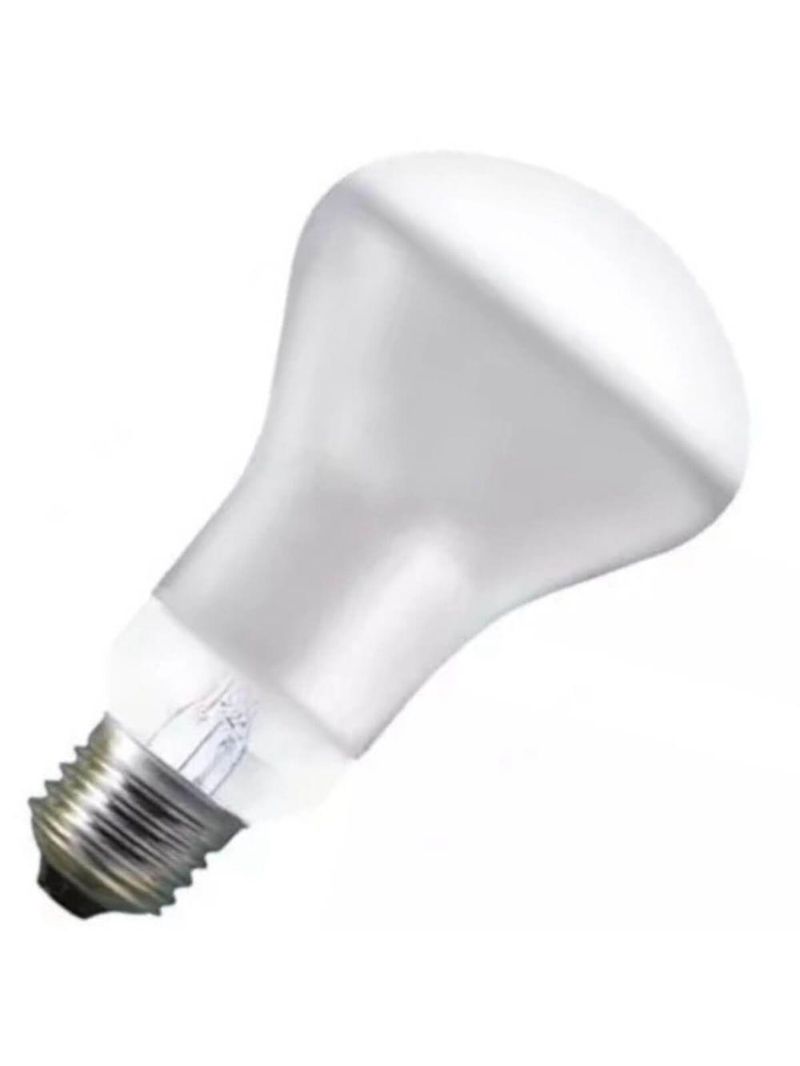 Lâmpada Para Spot R63 40 Watts 220 Volts - 8548 - Brasfort