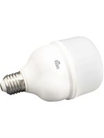 Lâmpada Led Globe Kian Boa Potência Base E-27 30w 6,5k Bivolt