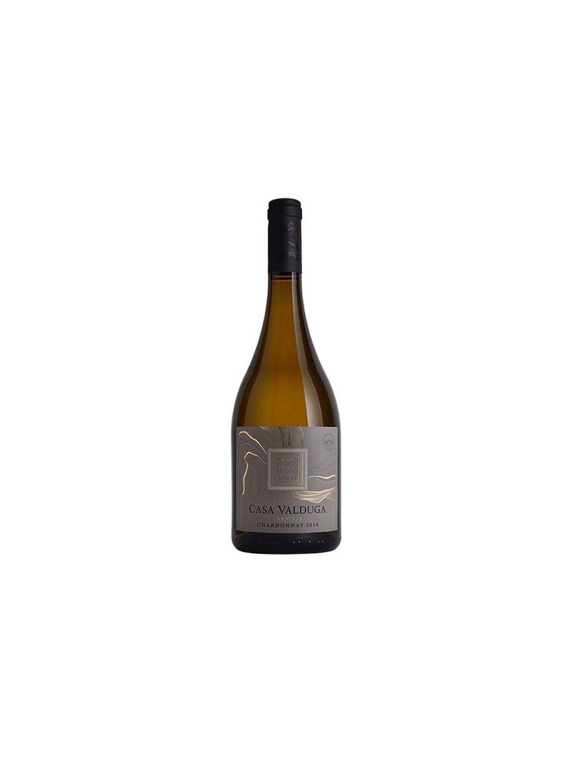 Vinho casa valduga terroir chardonnay 750ml