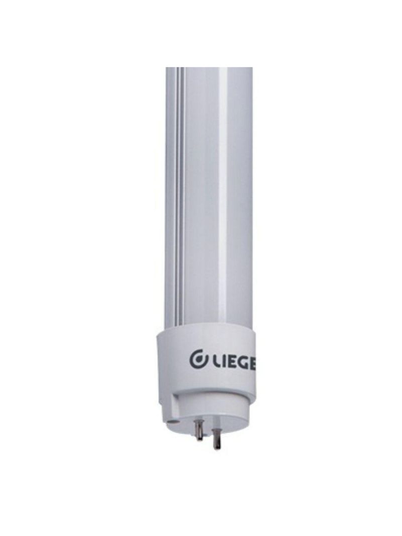 Lâmpada led tubular 9,9w t8 6500k branca bivolt liege