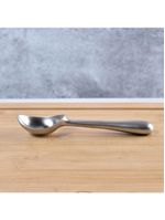 Colher de sorvete em zinco 16,5cm kenya