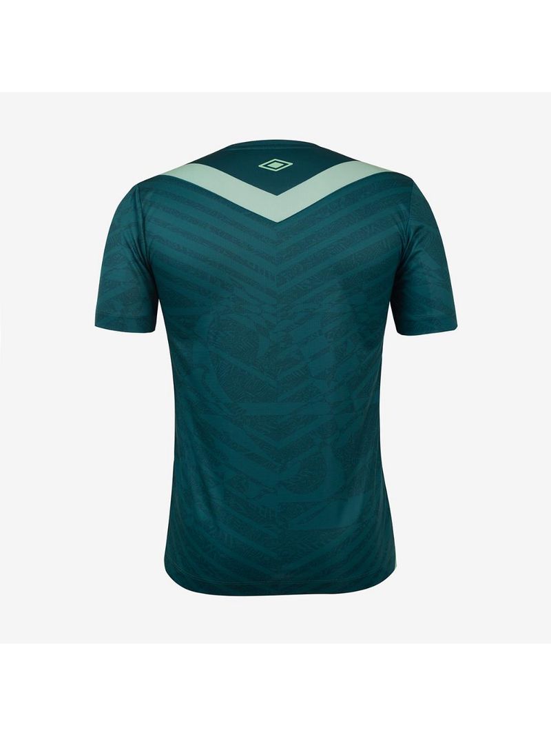 Camisa masculina umbro chapecoense of3 2024