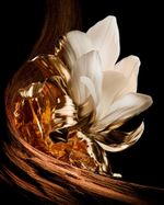 Perfume l'interdit givenchy feminino parfum