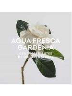 Adolfo Dominguez Gardênia Eau De Toilette - Perfume Feminino 120ml