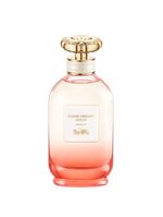 Coach Dreams Sunset Eau De Parfum - Perfume Feminino 90ml