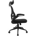 Cadeira Ergonômica Fortrek Ergo Base Mesh Preta