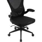 Cadeira Ergonômica Fortrek Ergo Base Mesh Preta
