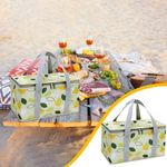 Bolsa Termica Portatil 12l Cesta Dobravel