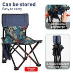 Cadeira De Pesca Dobrável Com Encosto E Bolsa Lateral Viagem