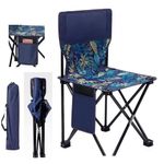 Cadeira Pesca Dobrável Camping Praia Com Bolso Lateral