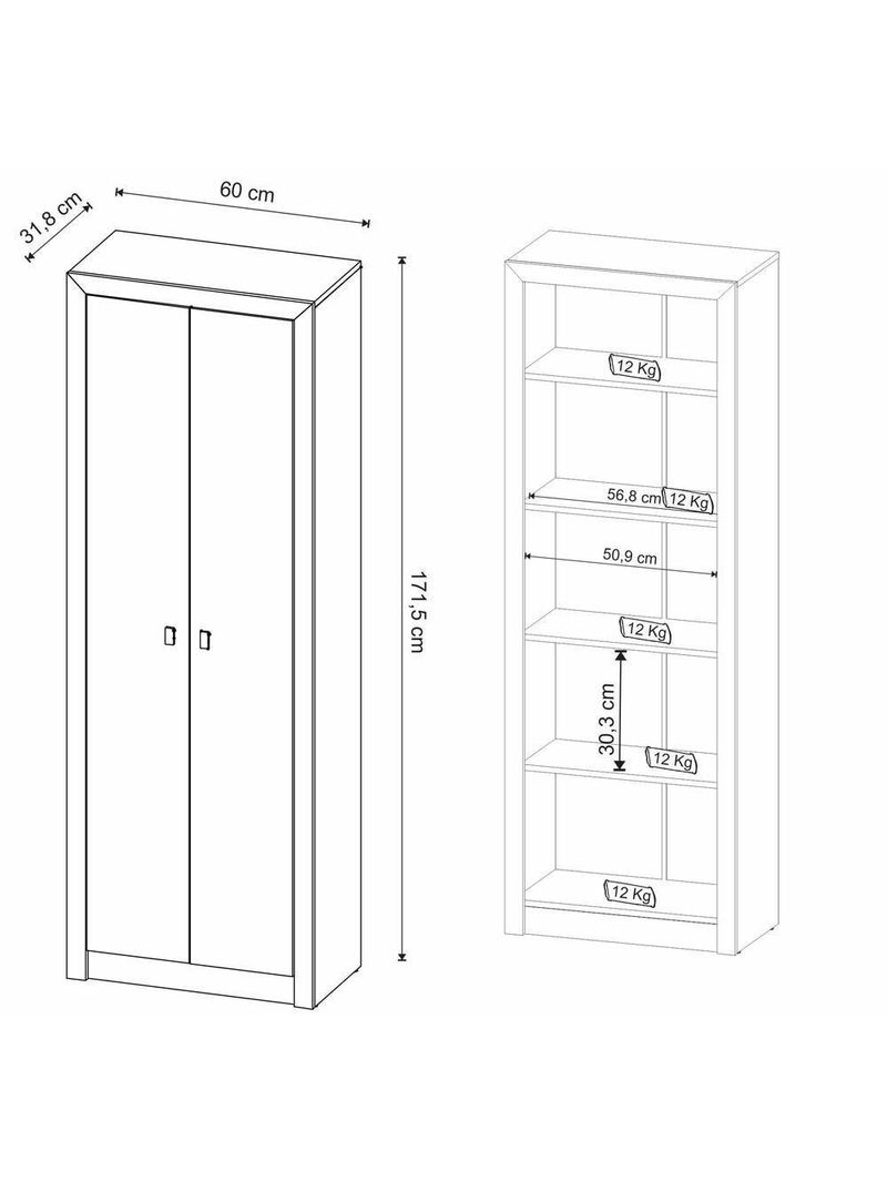 Armário Escritório Com 2 Portas Multimóveis Cr25015 Preto