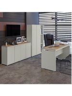 Conjunto De Escritório Office 3 Peças Mesa Balcão Armário Tu - Fendi E Freijó Fendi E Freijó