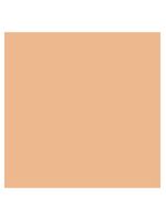 Pó compacto sisley paris - phyto-poudre compacte