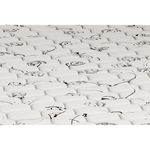 Colchão Solteiro Espuma D23 Plumaspuma (78x188x14) - Plumatex