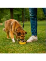 Comedouro Bebedouro Dobrável Com Gancho Portátil Pet - Praticidade E Conforto Em Todas As Aventuras amarelo