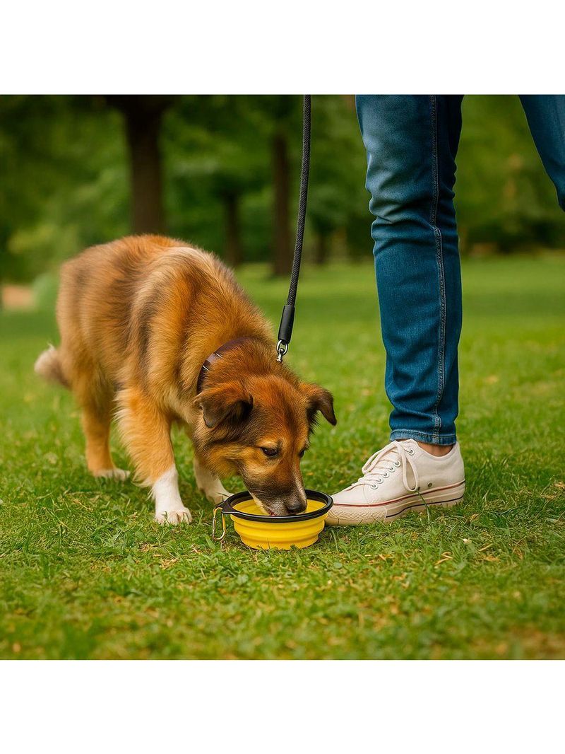 Comedouro Bebedouro Dobrável Com Gancho Portátil Pet - Praticidade E Conforto Em Todas As Aventuras amarelo