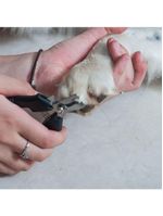 Alicate De Unha Para Animais M Em Aço Com Cabo Vinílico - Germanhart