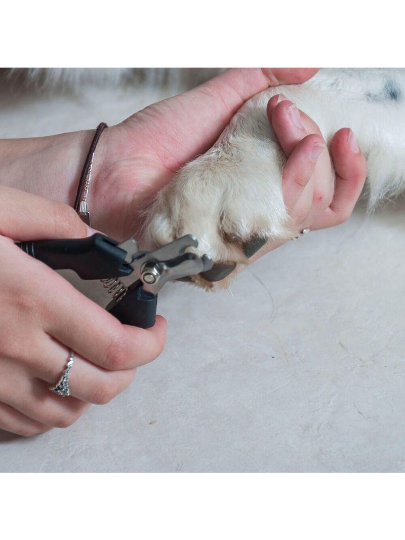 Alicate De Unha Para Animais M Em Aço Com Cabo Vinílico - Germanhart