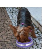 Comedouro Inox Prestige Roxo 850ml - Durável E Antiderrapante