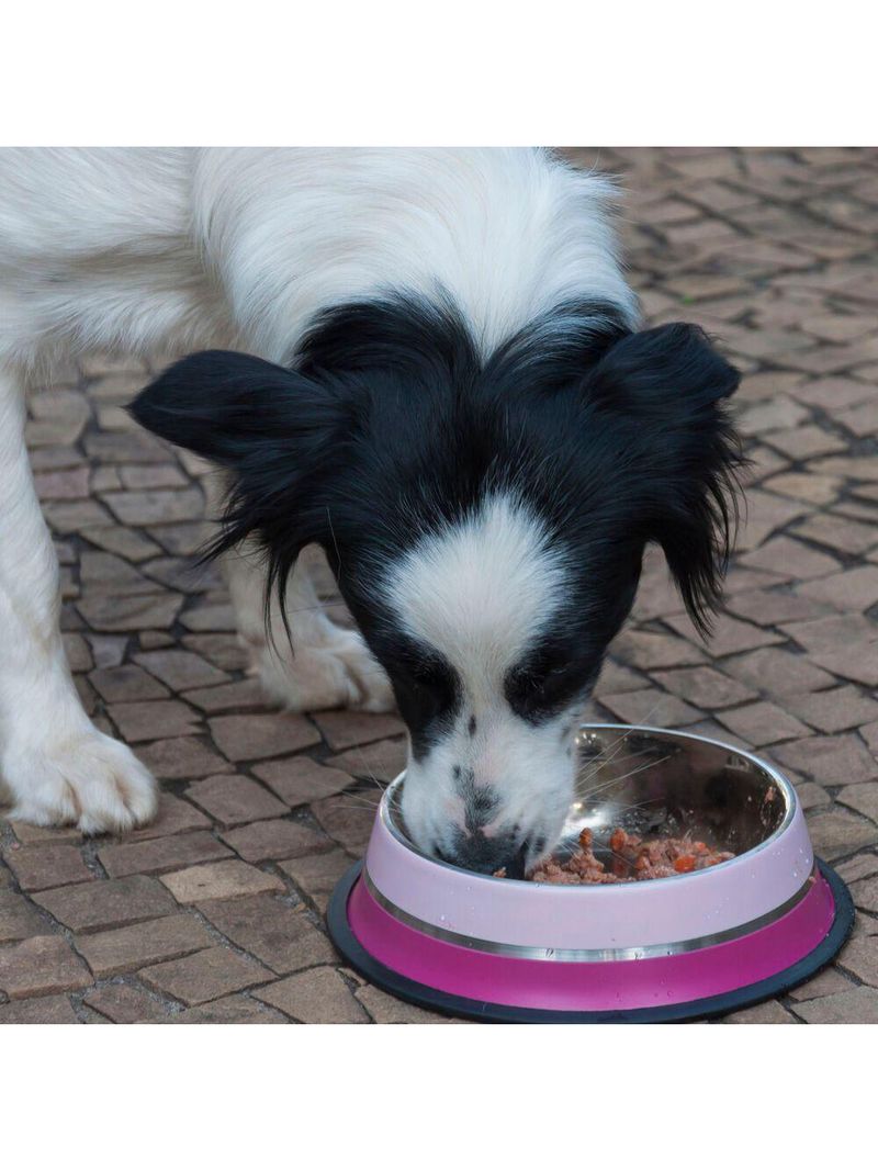 Comedouro Inox Dual Rosa G 850ml Para Pets - Germanhart