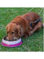 Comedouro Inox Dual Rosa G 850ml Para Pets - Germanhart