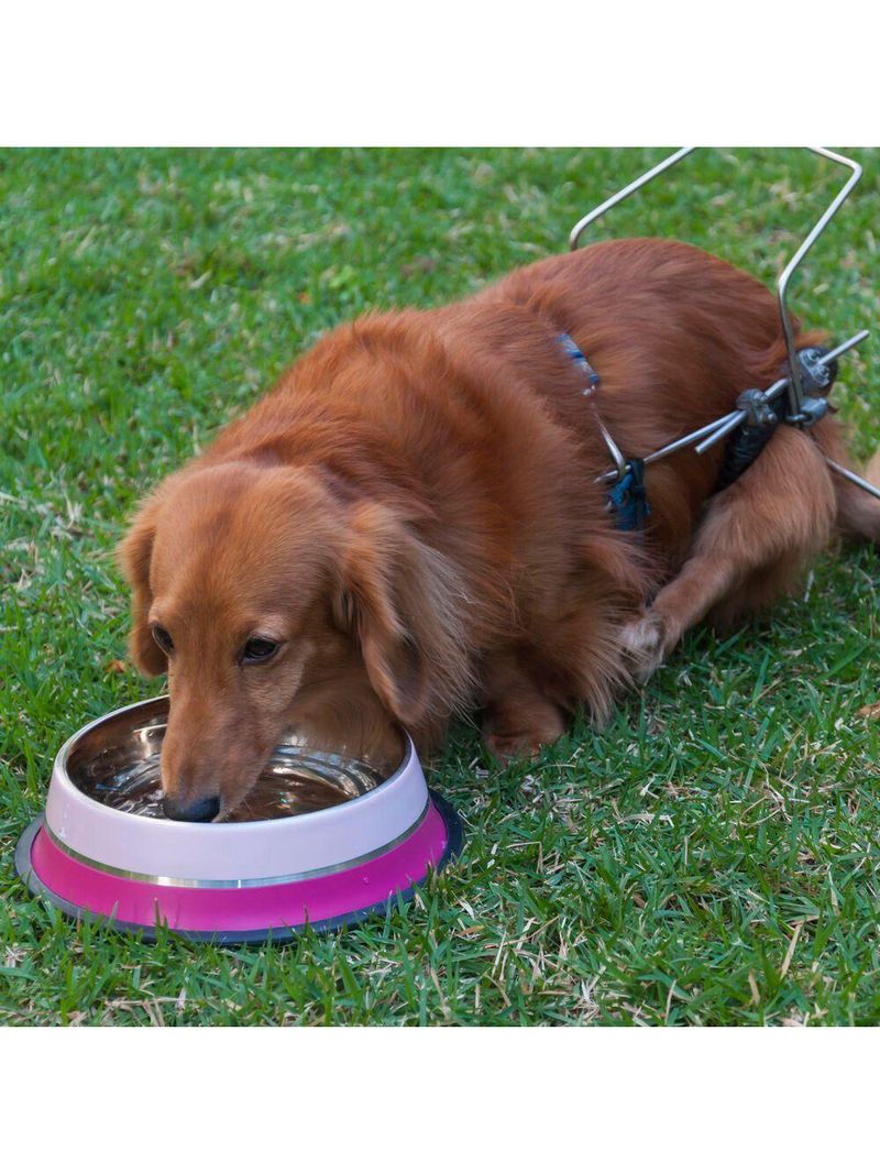 Comedouro Inox Dual Rosa G 850ml Para Pets - Germanhart
