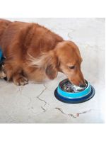 Comedouro Inox Dual Azul G 850ml Para Pets - Germanhart