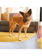 Promo pack 4 pcs tapete higiênico mimo pads - 60x90 mimo - pp018
