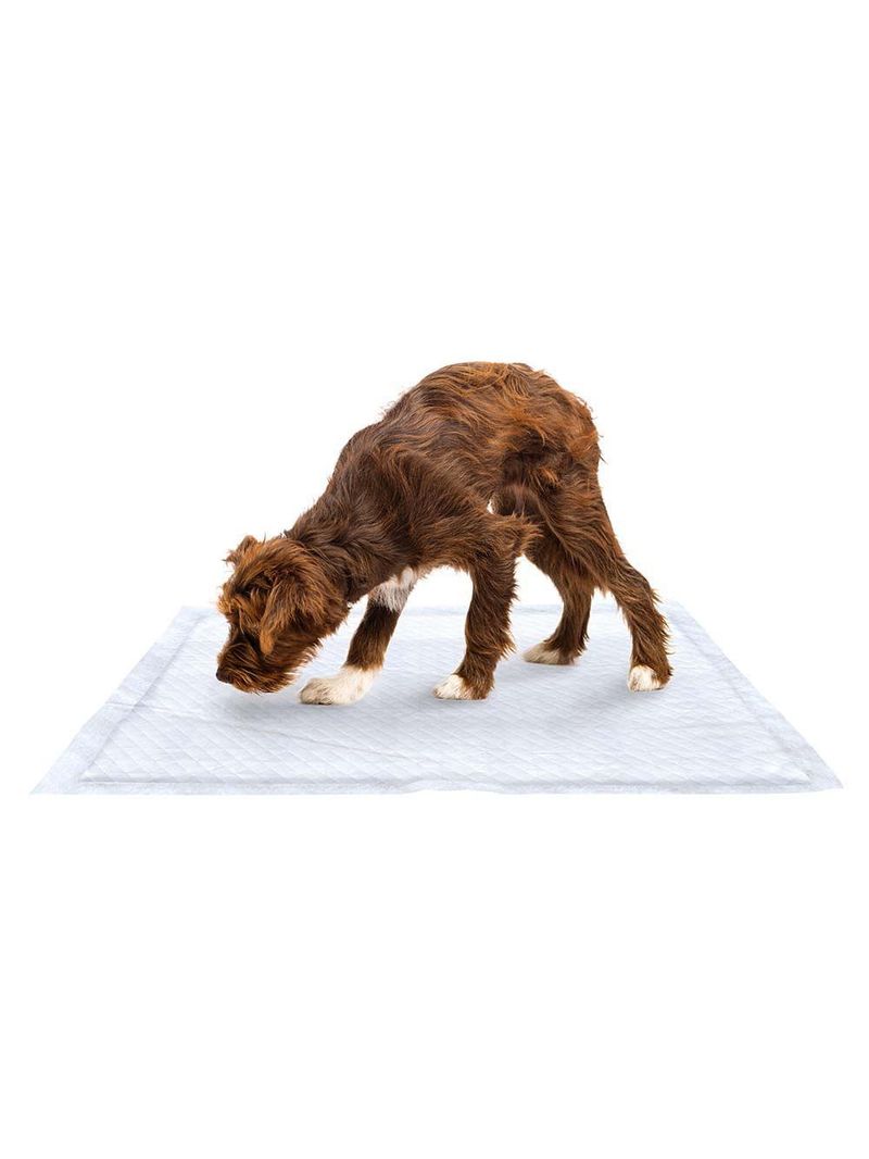 Promo pack 4 pcs tapete higiênico mimo pads - 60x90 mimo - pp018