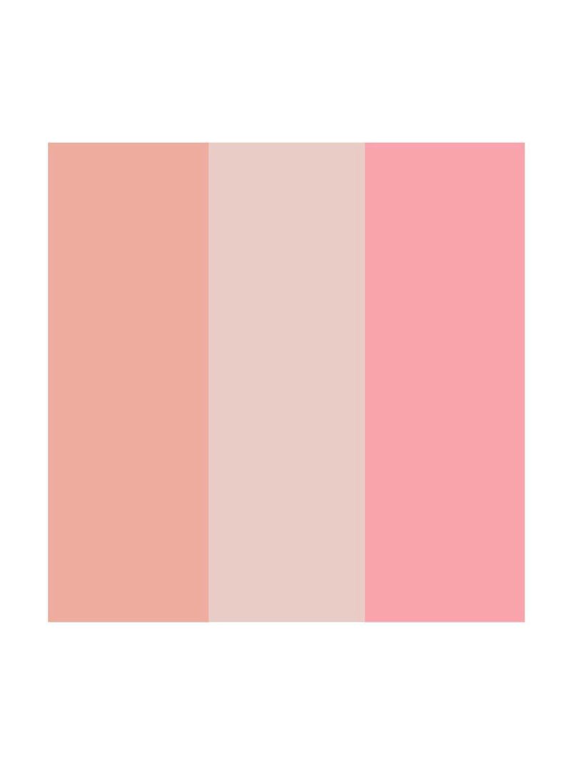 Paleta de contorno & iluminador & blush dailus pele de milhões 1