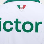 Camisa palmeiras ii 26/27 s/n torcedor puma feminina