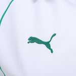 Camisa palmeiras ii 26/27 s/n torcedor puma feminina
