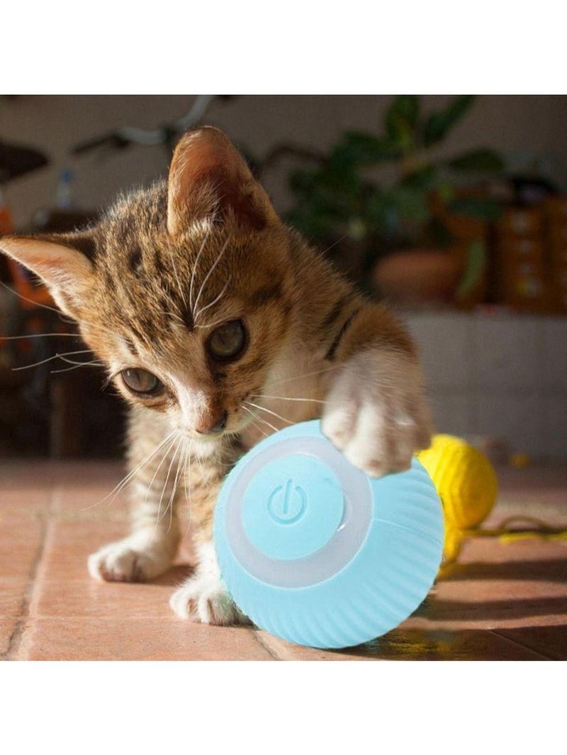Bola Elétrica Inteligente Mágica Para Animais De Estimação Cães E Gatos Brinquedos Interativos Movimento Automático Usb
