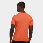 Camiseta the north face  básica masculina
