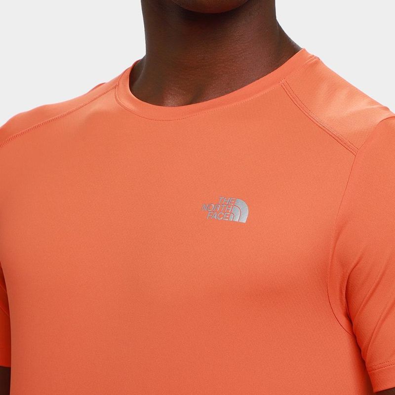 Camiseta the north face  básica masculina