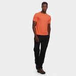 Camiseta the north face  básica masculina