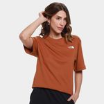 Camiseta the nort face evolution summit