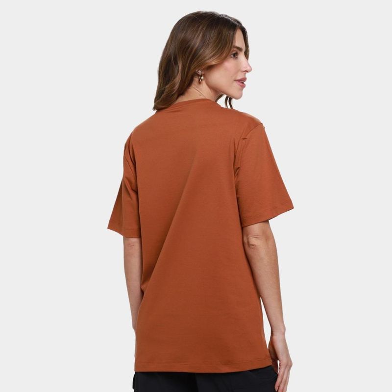 Camiseta the nort face evolution summit