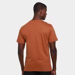 Camiseta the nort face evolution summit