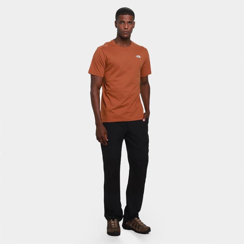 Camiseta the nort face evolution summit