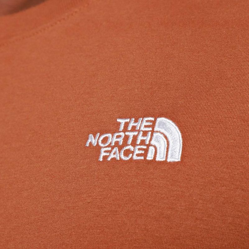 Camiseta the nort face evolution summit