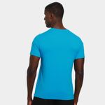 Camiseta the north face  básica masculina