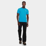 Camiseta the north face  básica masculina
