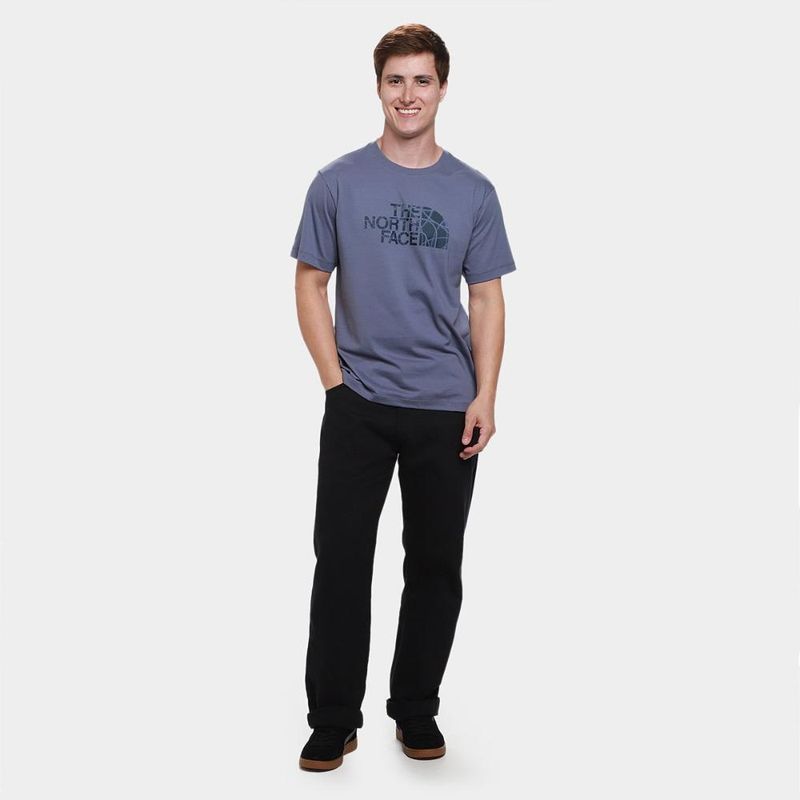 Camiseta the nort face evolution sun halos half dome