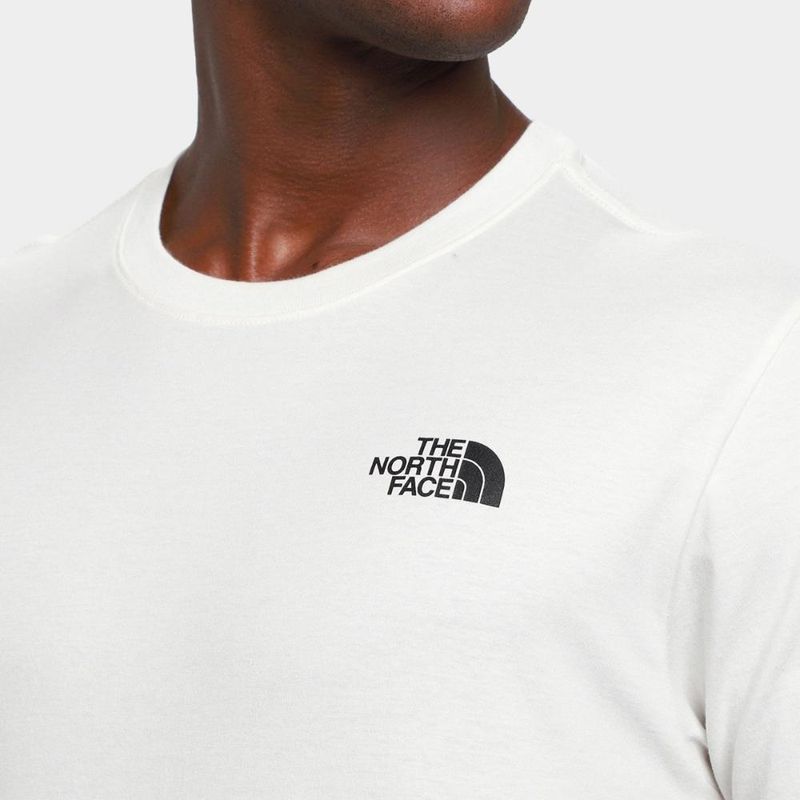 Camiseta the nort face evolution bear dune